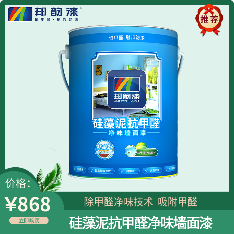 硅藻泥抗甲醛净味墙面漆